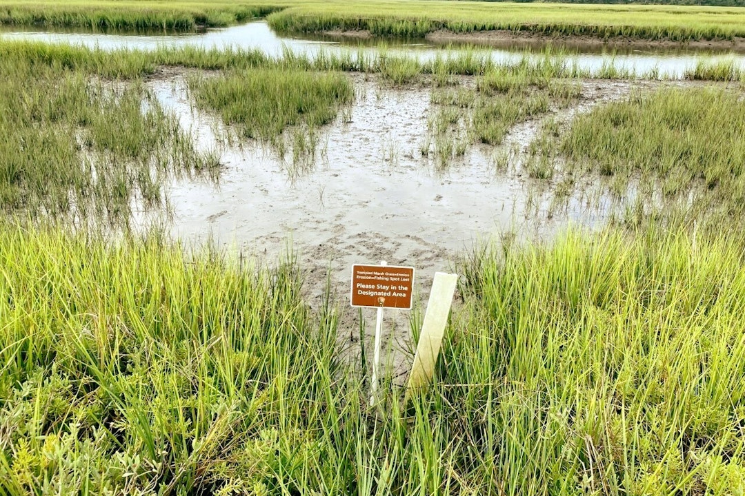 brown sign at the start of 3 social trails of mud into the marsh