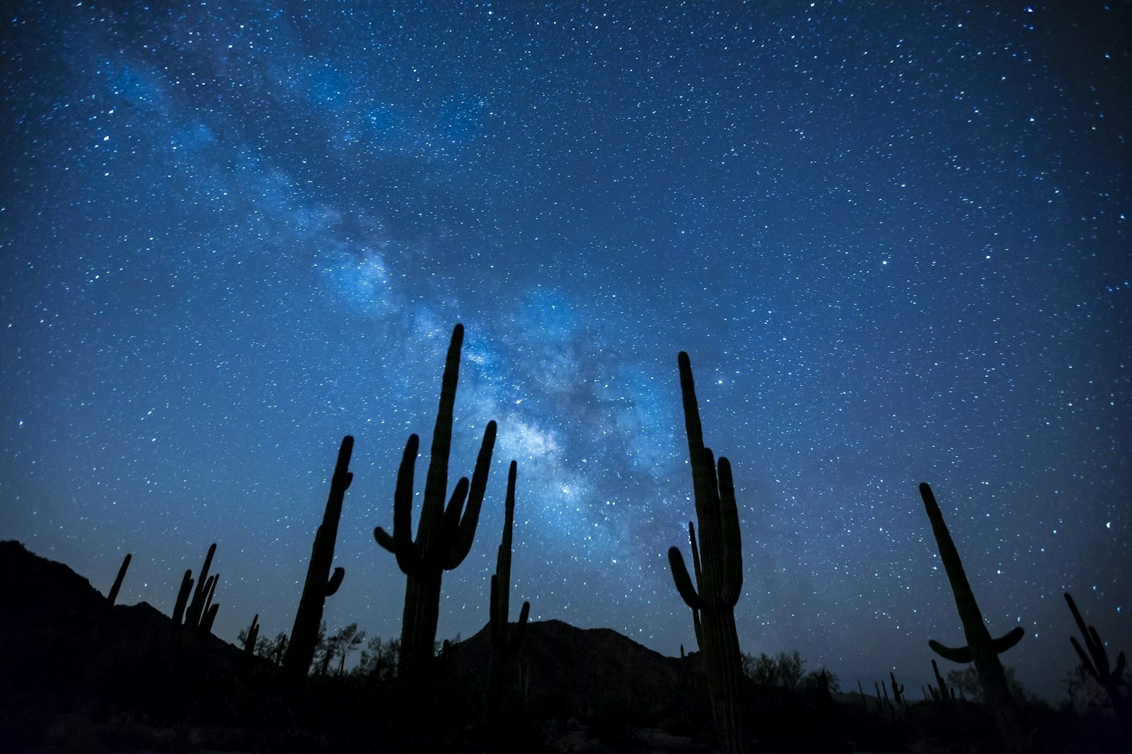A night sky in the desert with the Milky Way visible