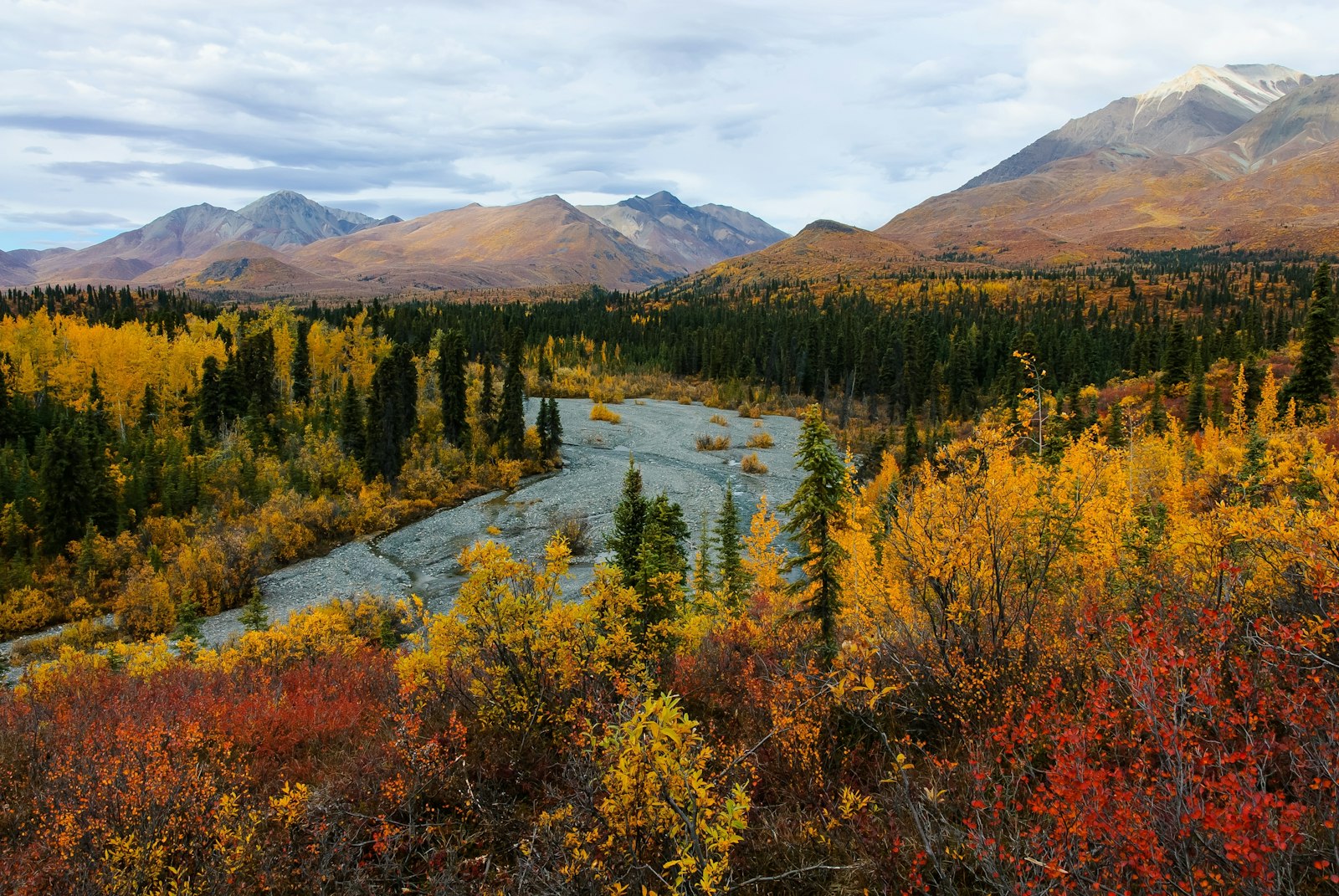 A trail wanders up towards snow-capped mountains. Surrounding the trail, autumn colored leaves cover the landscape