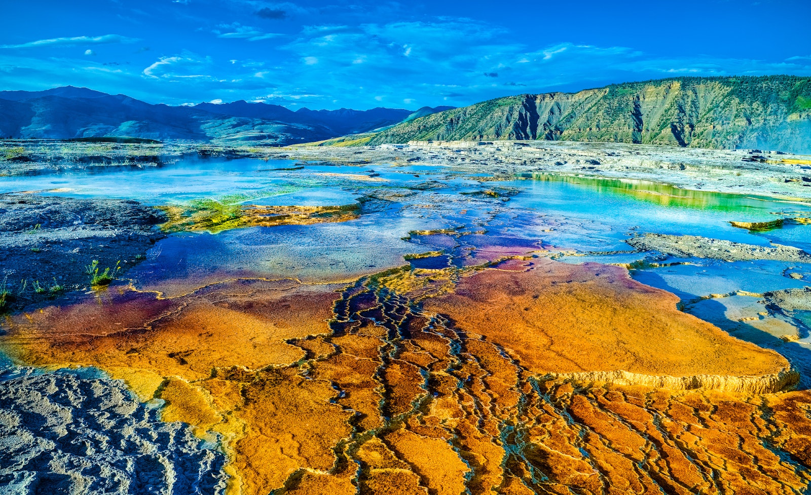 Technicolor tide pools reach into the distance, with pools of burnt yellow, lime green, and a vibrant teal and blue