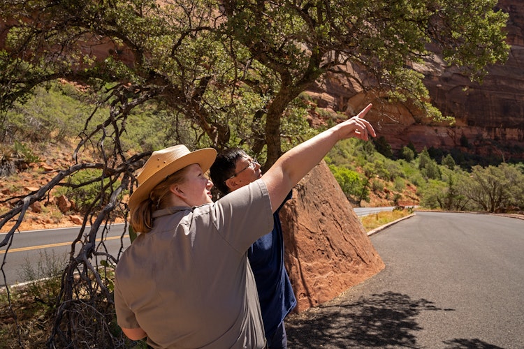 A ranger points to the upper right to something out of frame. The visitor next to her follows where she is pointing. They are standing in a pull off in front of a large red rock and tree. More green trees and red canyon are in the background.