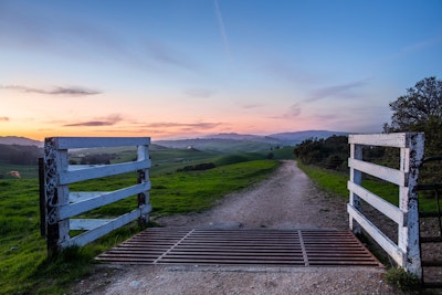 Cattle grate leading across an expansive landscape at sunset