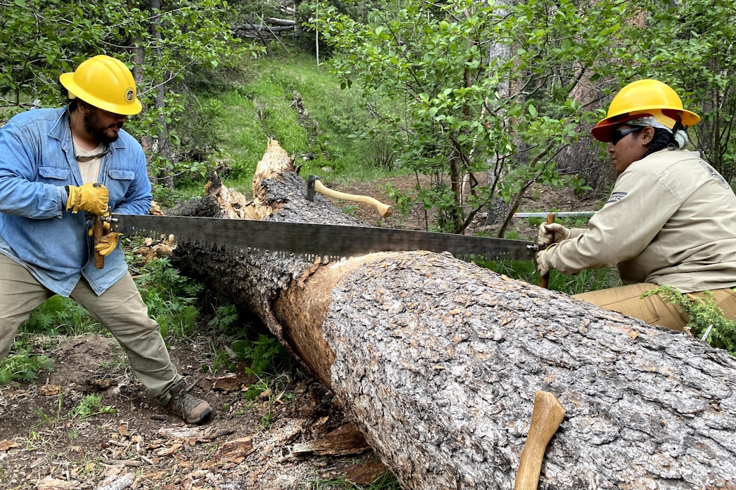 Two people, wearing safety gear and hard hats, saw through a fallen tree