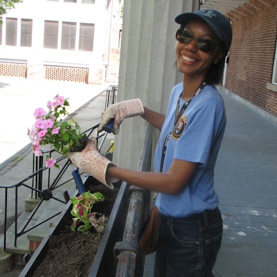 A person plants flowers in a windowbox