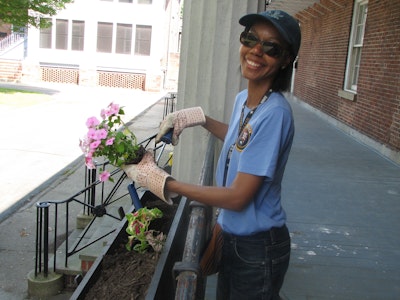 A person plants flowers in a windowbox