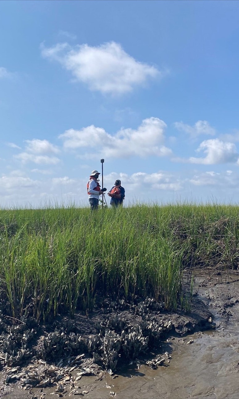 Field Science program collecting data in the a salt marsh