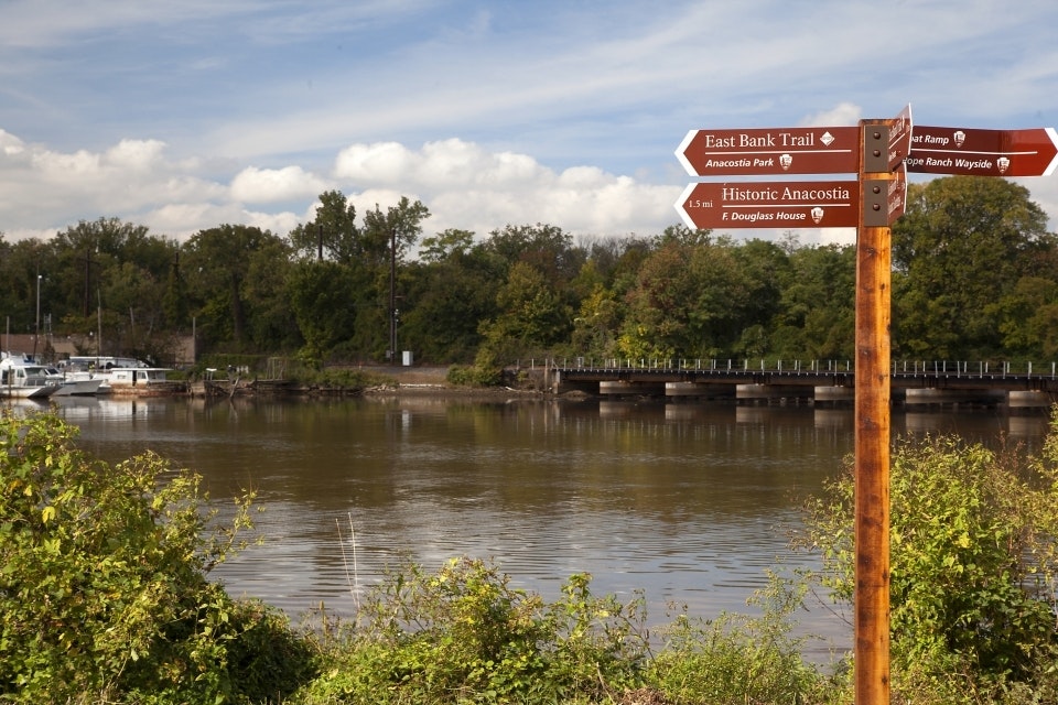 A river bank