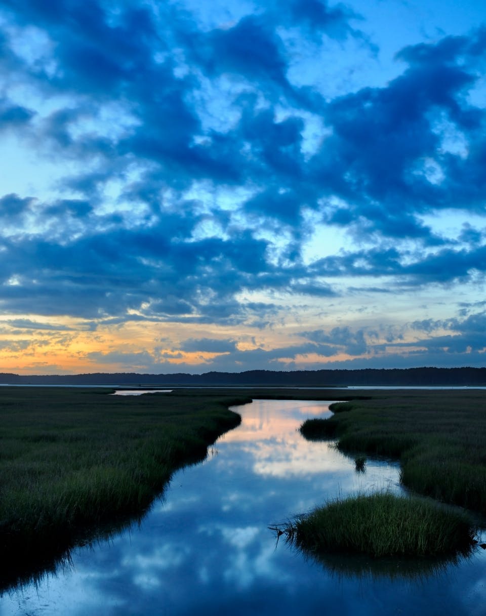 Assateague Island National Seashore National Park Foundation