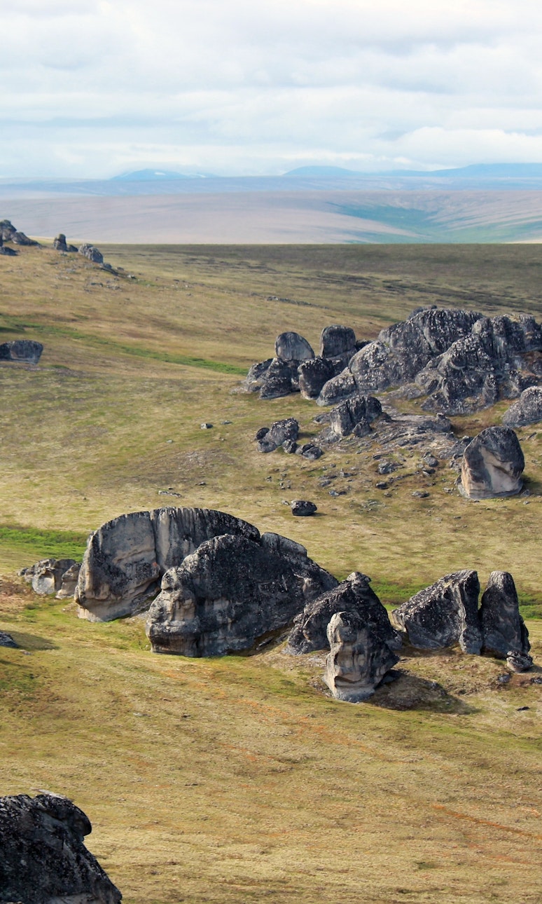 rock formations over a grassy landscape