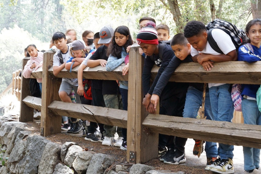 A group of students peer over a wood fence down into a stream