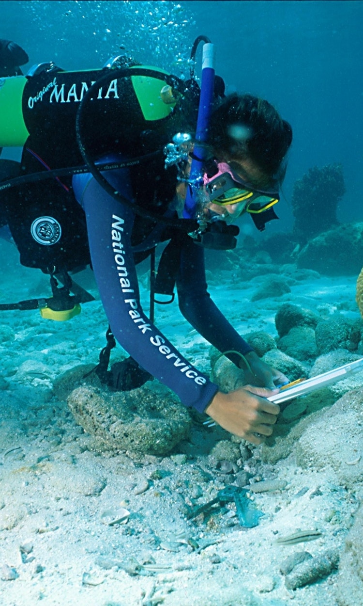 A person scuba diving takes a picture of coral underwater