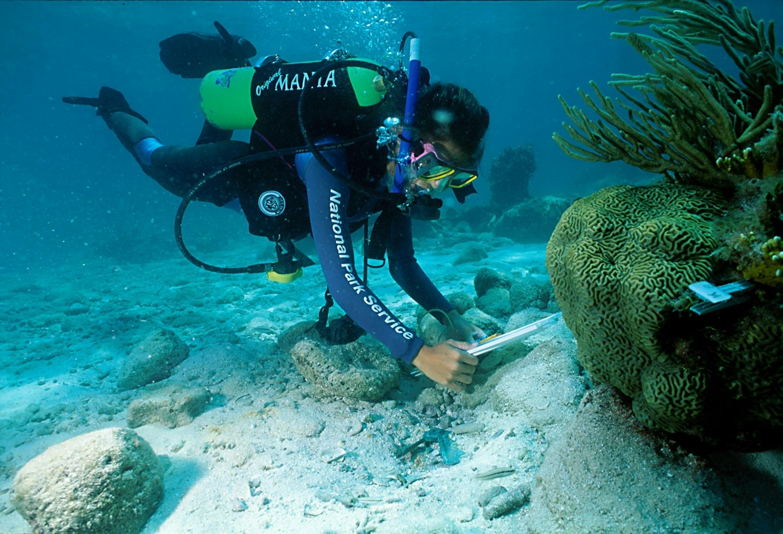 A person scuba diving takes a picture of coral underwater