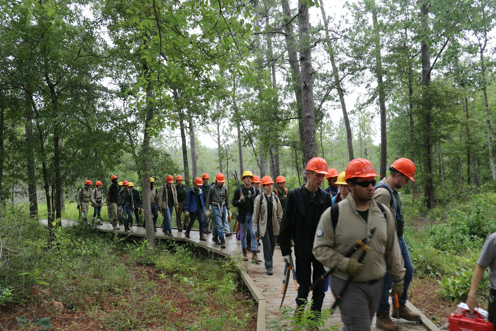 A service corps crew, all in hardhats, walks along an elevated wooden platform through a wood