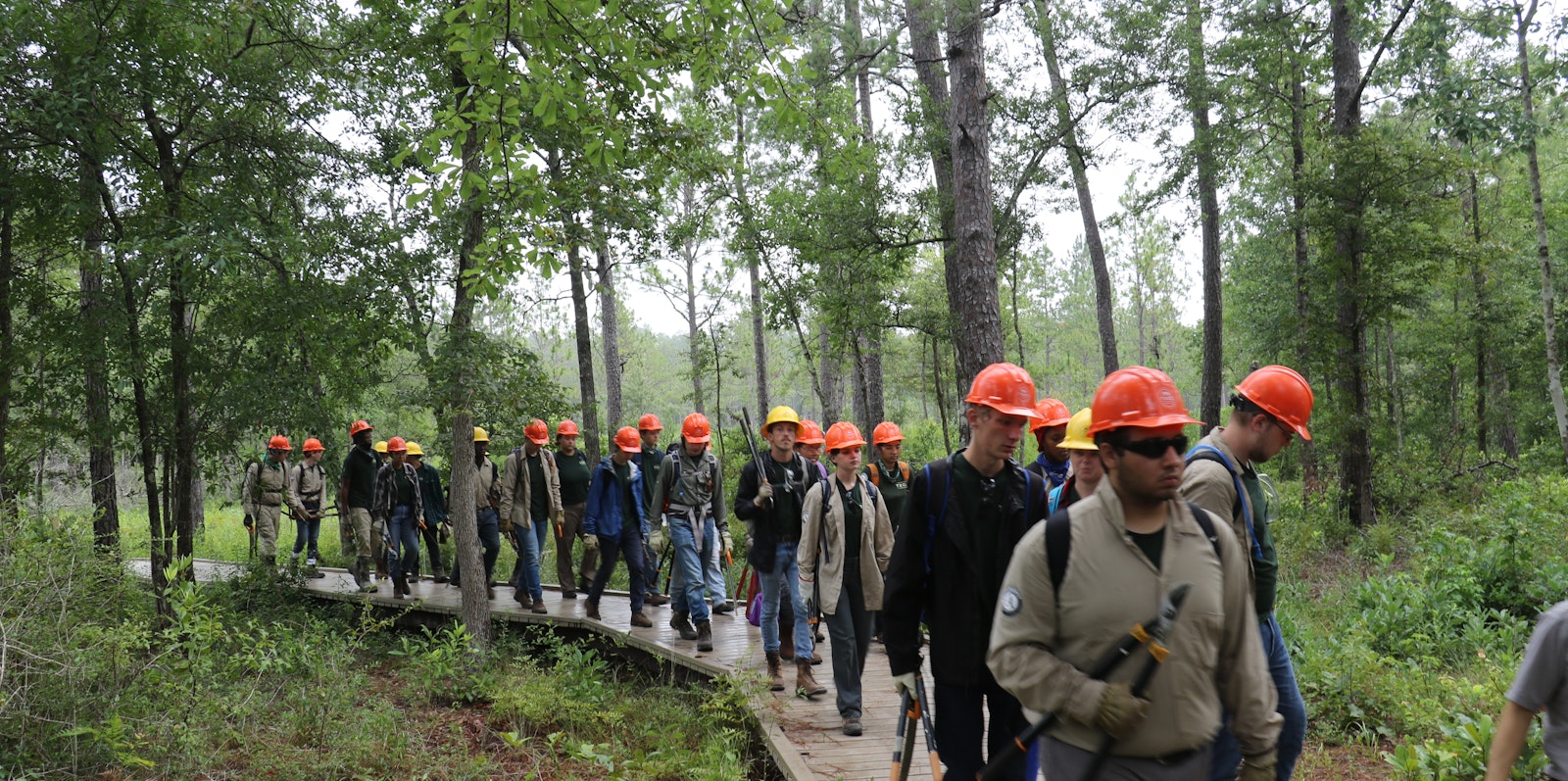 A service corps crew, all in hardhats, walks along an elevated wooden platform through a wood
