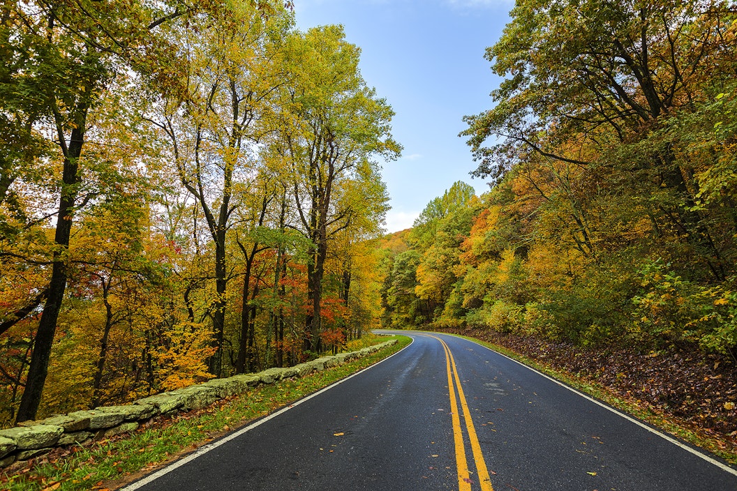 A paved, 2-lane road weaves through an autumnal landscape
