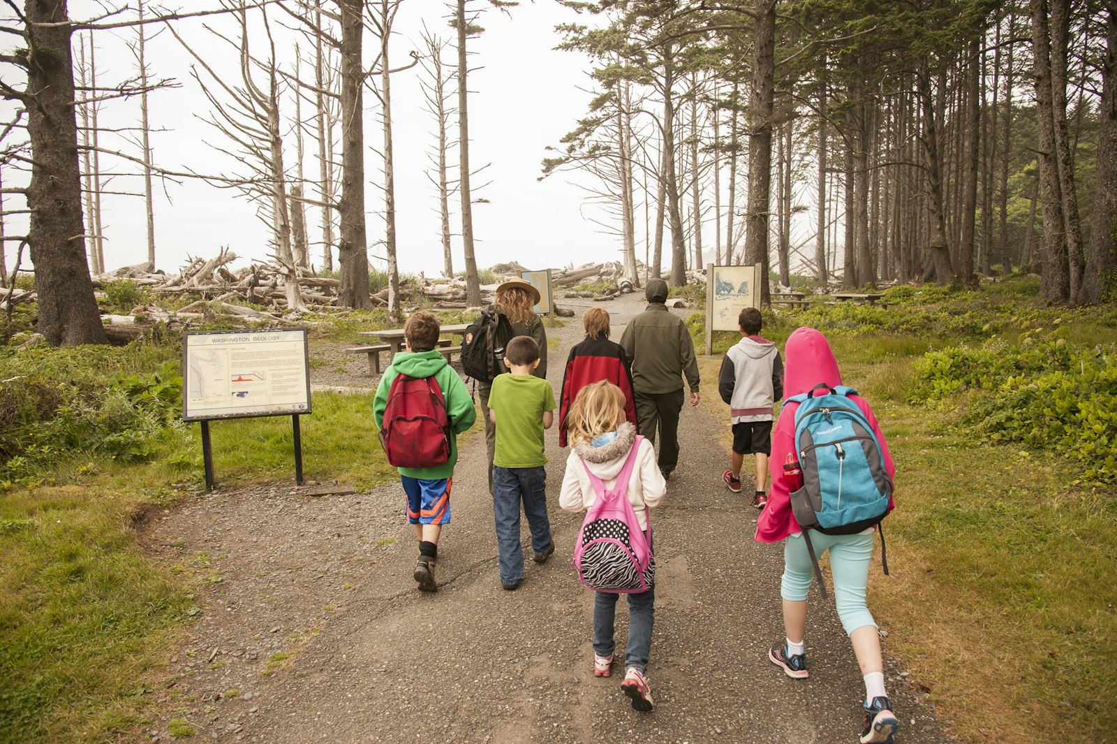 A group of kids and adults walk along a trail into a sparse forest