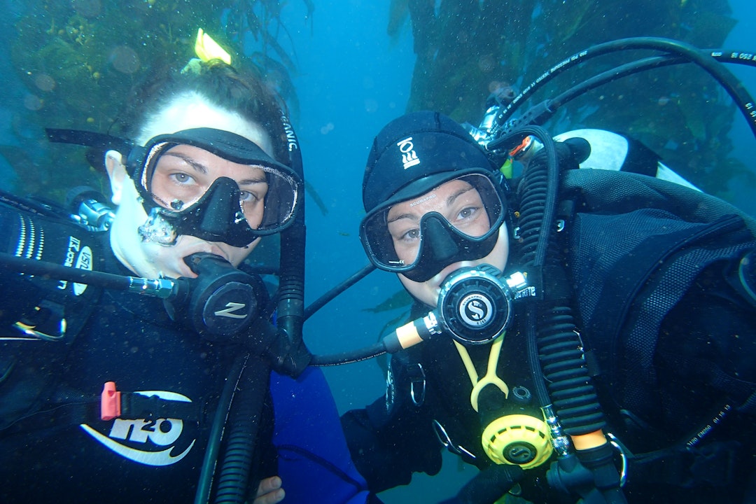 Two people wearing scuba gear on a dive underwater