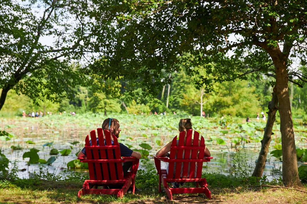 Two people sitting in red chairs facing a green landscape