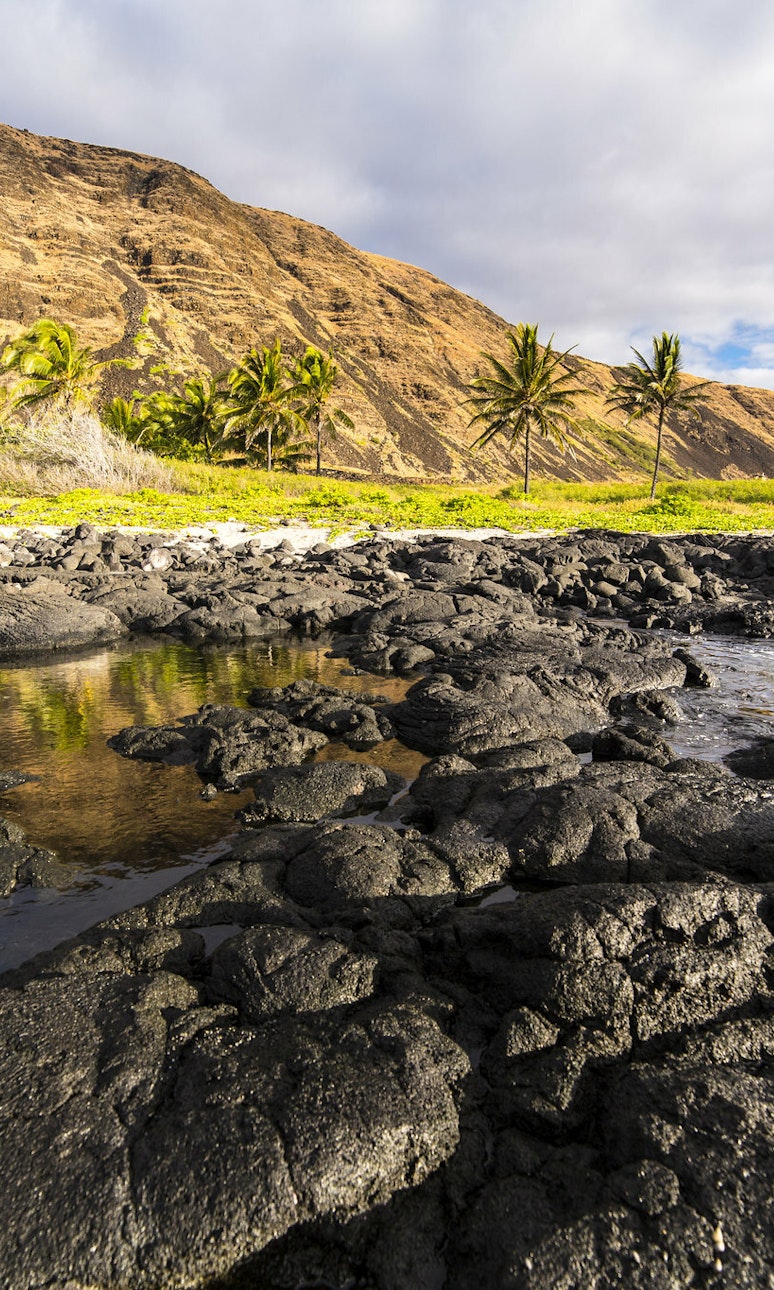 tidepools in volcanic formations on a tropical landscape