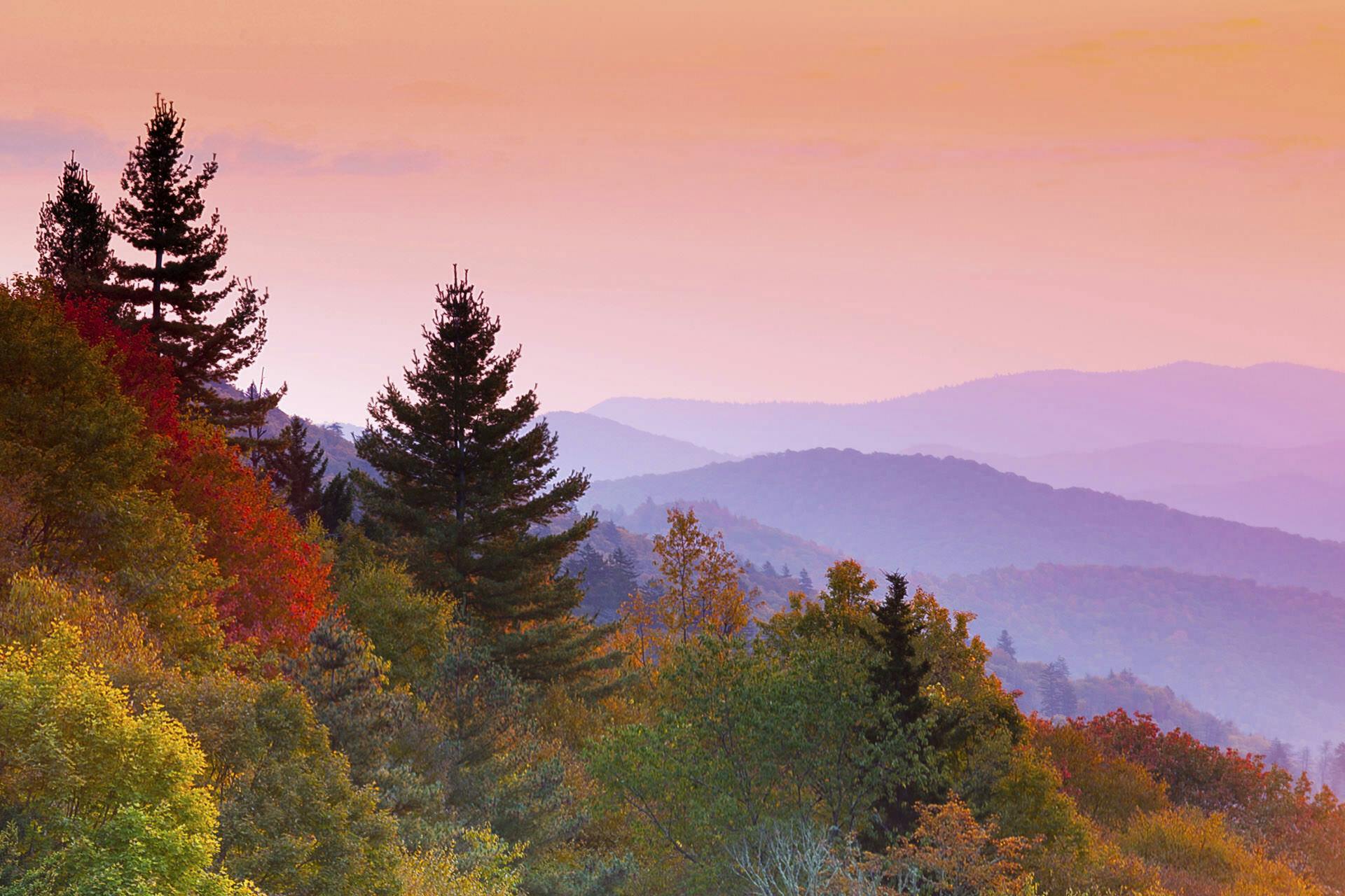 Smoky Mountain National Park Fall Colors 2025 - John Clarkson