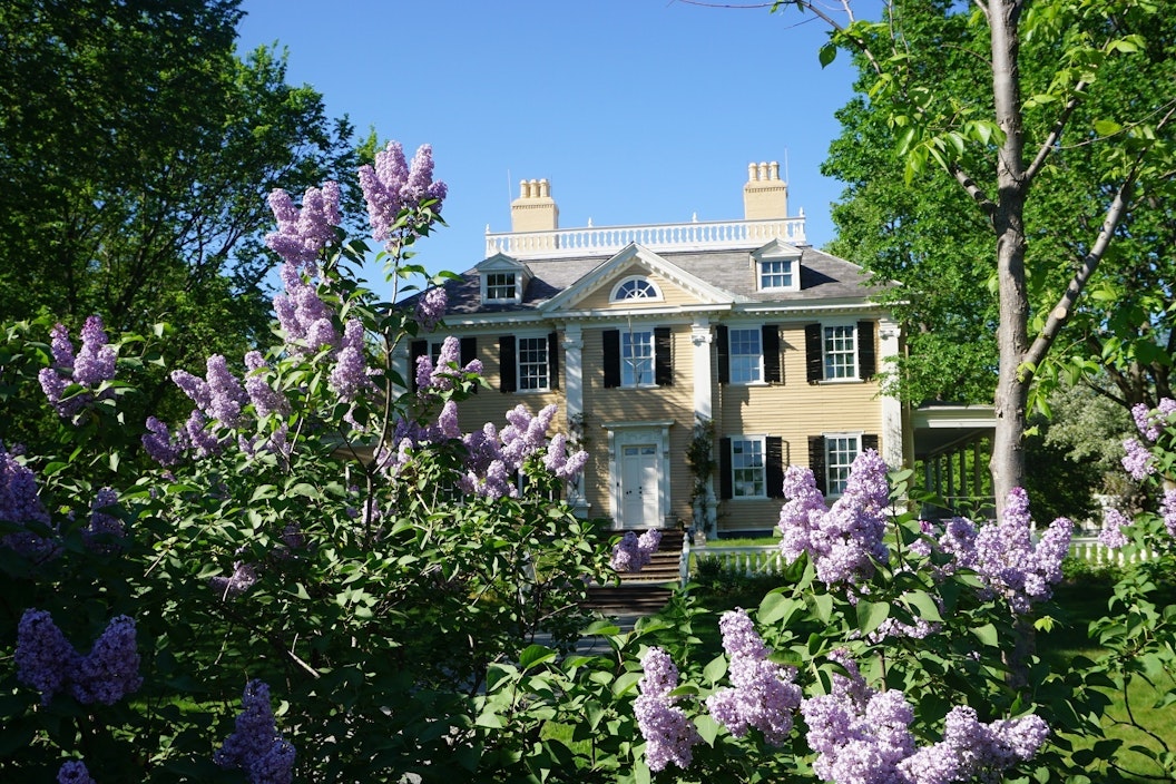 Past blooming wisteria, a two-story Colonial-style home with pale yellow paneling