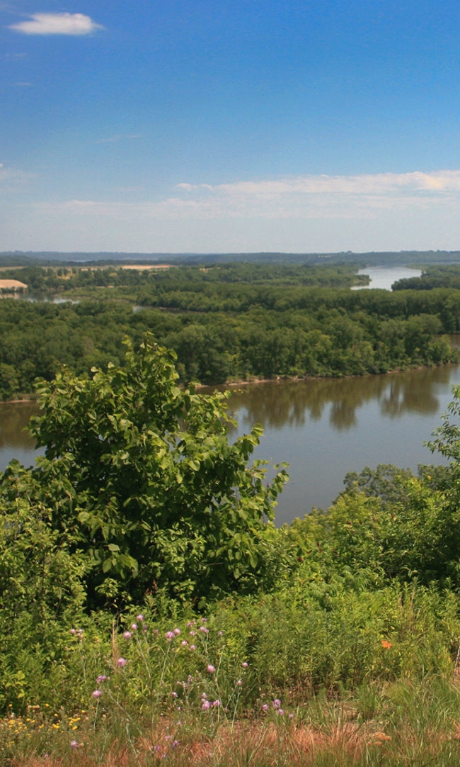 A green floodplain forest surrounds the path of the Mississippi River below the bluffs