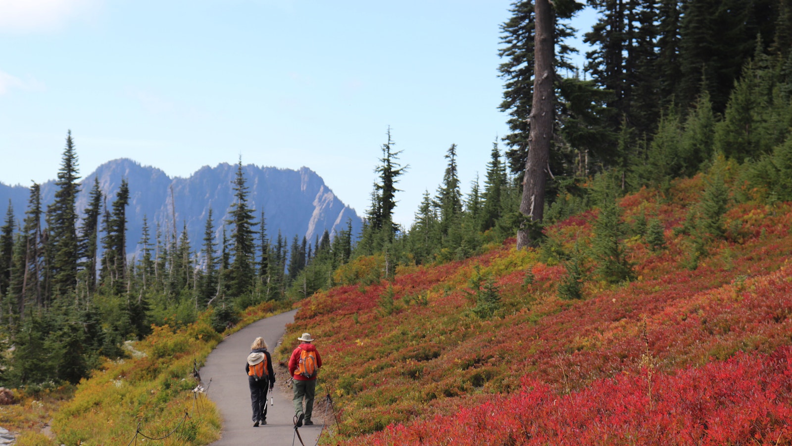 Hikers walks along a paved trail on a mountainside
