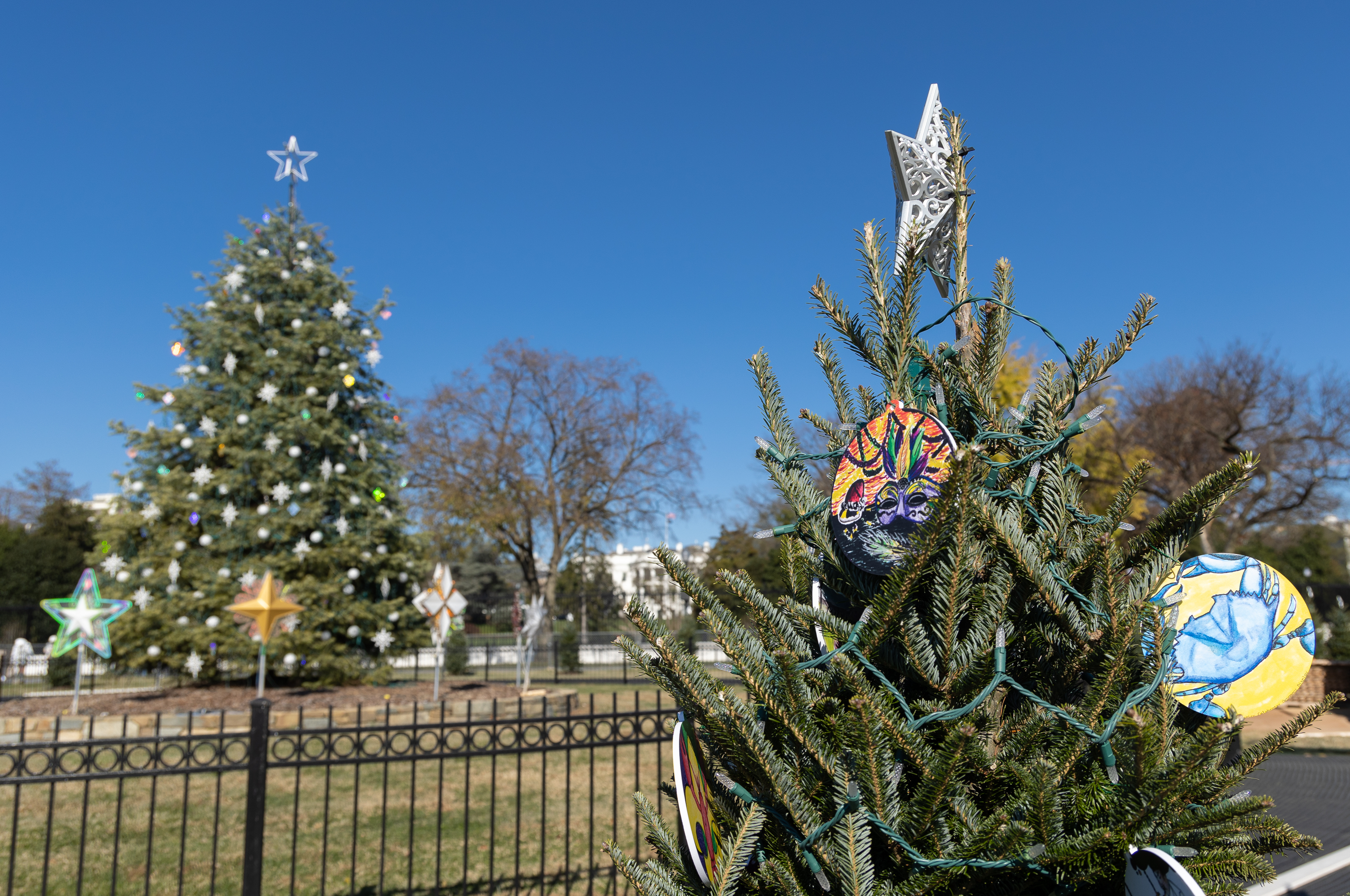 100 Years of the National Christmas Tree National Park Foundation