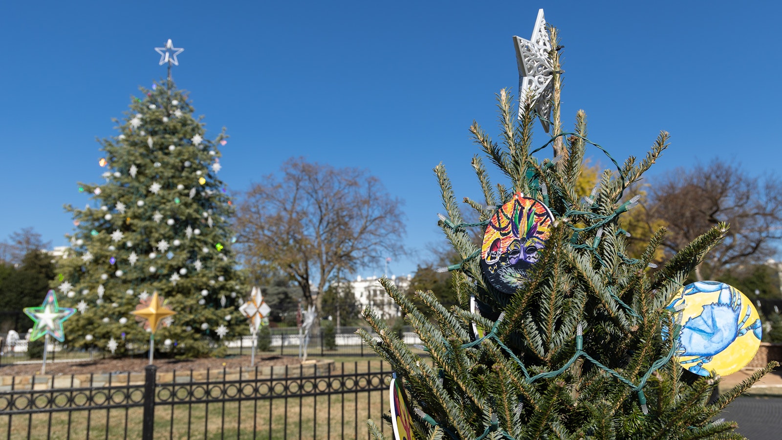 Volunteers decorate the Louisiana Christmas tree in front of the White House for the 2022 National Christmas Tree Lighting.