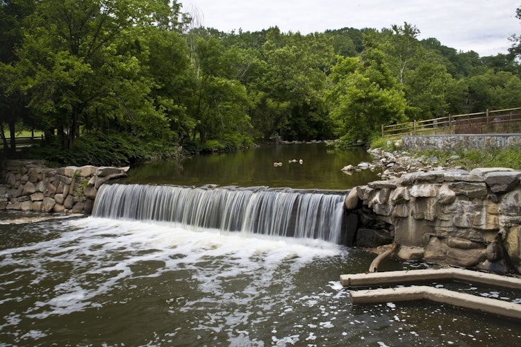A small, long waterfall in Rock Creek Park