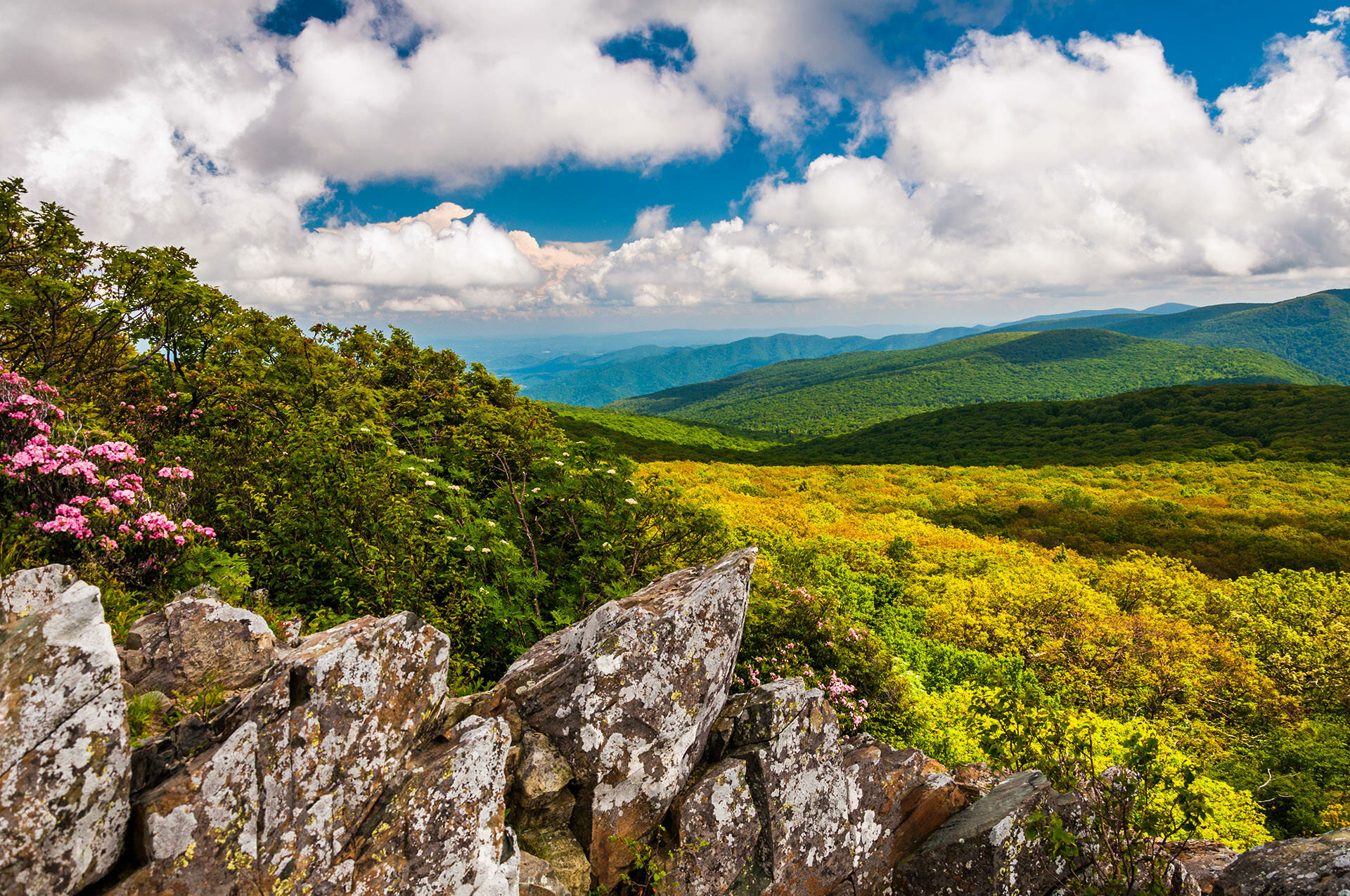 Section hike shenandoah national park sale