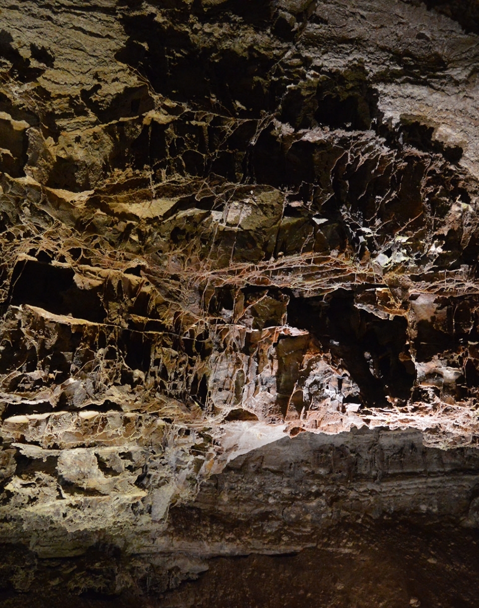 Wind Cave National Park